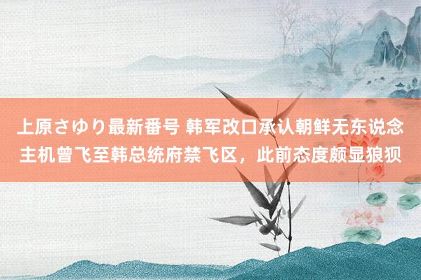 上原さゆり最新番号 韩军改口承认朝鲜无东说念主机曾飞至韩总统府禁飞区，此前态度颇显狼狈