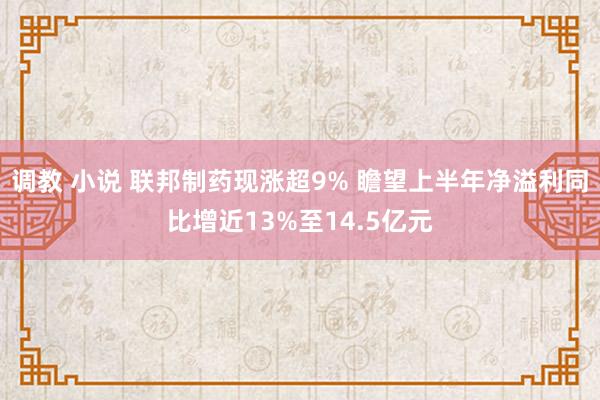 调教 小说 联邦制药现涨超9% 瞻望上半年净溢利同比增近13%至14.5亿元