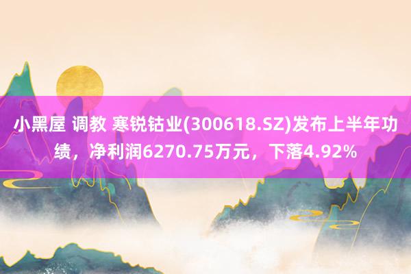 小黑屋 调教 寒锐钴业(300618.SZ)发布上半年功绩，净利润6270.75万元，下落4.92%