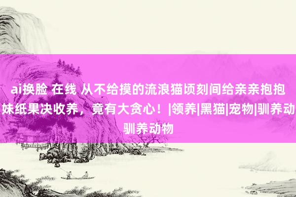 ai换脸 在线 从不给摸的流浪猫顷刻间给亲亲抱抱，妹纸果决收养，竟有大贪心！|领养|黑猫|宠物|驯养动物