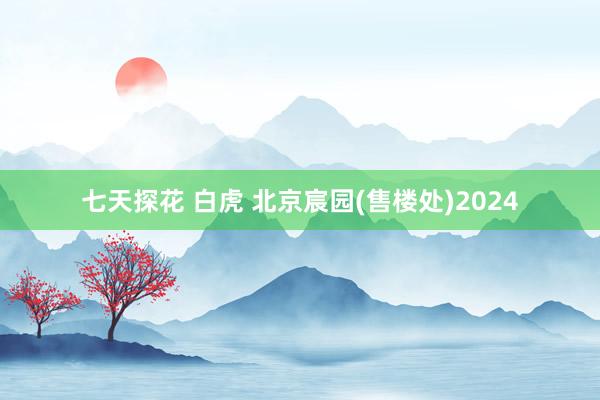 七天探花 白虎 北京宸园(售楼处)2024