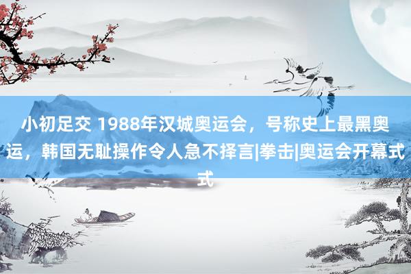 小初足交 1988年汉城奥运会，号称史上最黑奥运，韩国无耻操作令人急不择言|拳击|奥运会开幕式