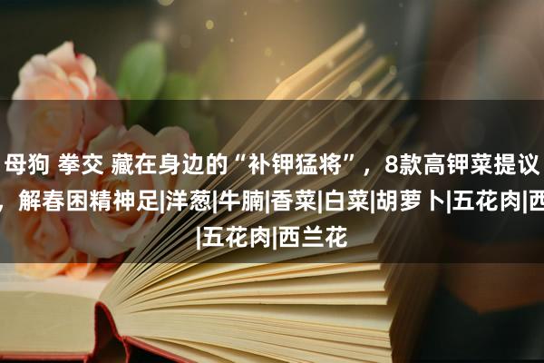 母狗 拳交 藏在身边的“补钾猛将”，8款高钾菜提议多吃，解春困精神足|洋葱|牛腩|香菜|白菜|胡萝卜|五花肉|西兰花